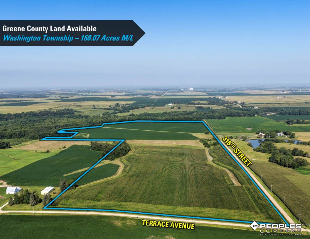 Listing Photo: Greene-County-Land-Available-168-Acres-19616 (19)